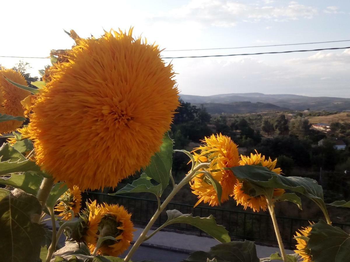 Casa Rural Mimbrero Aldeadávila de la Ribera Eksteriør billede